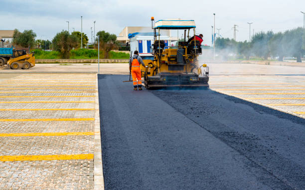 Best Driveway Pressure Washing  in Nocatee, FL